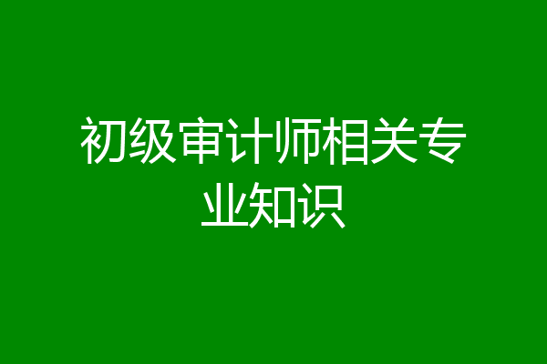 初级审计师相关专业知识