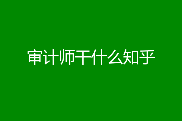审计师干什么知乎