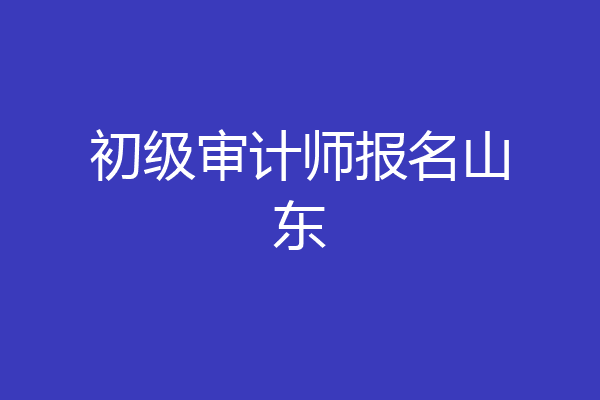 初级审计师报名山东