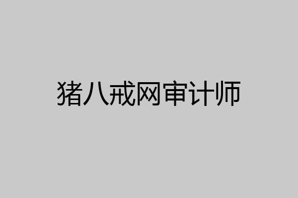 猪八戒网审计师