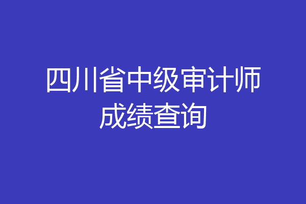四川省中级审计师成绩查询