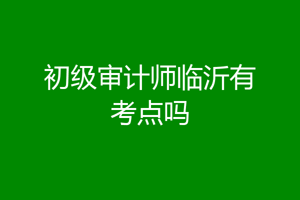 初级审计师临沂有考点吗