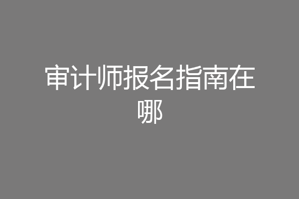 审计师报名指南在哪