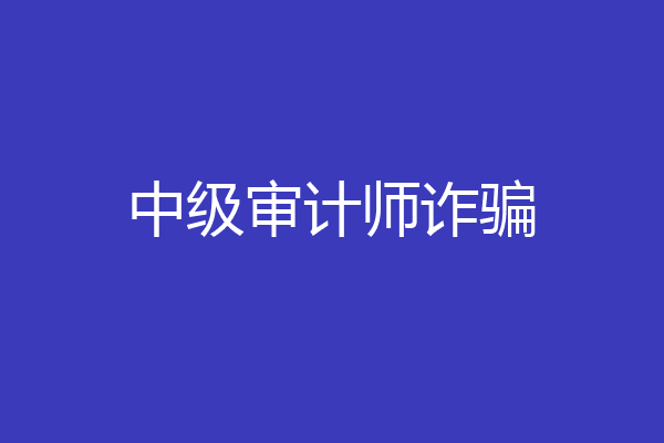 中级审计师诈骗