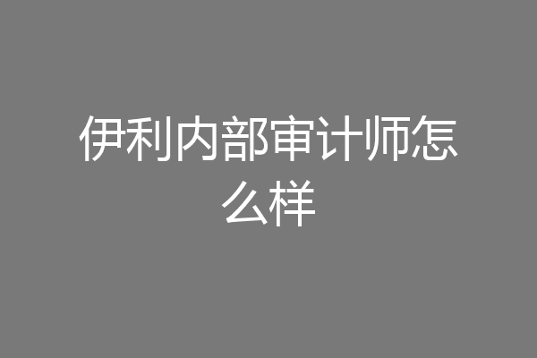 伊利内部审计师怎么样