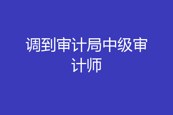 调到审计局中级审计师