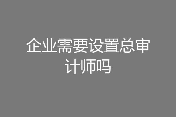 企业需要设置总审计师吗