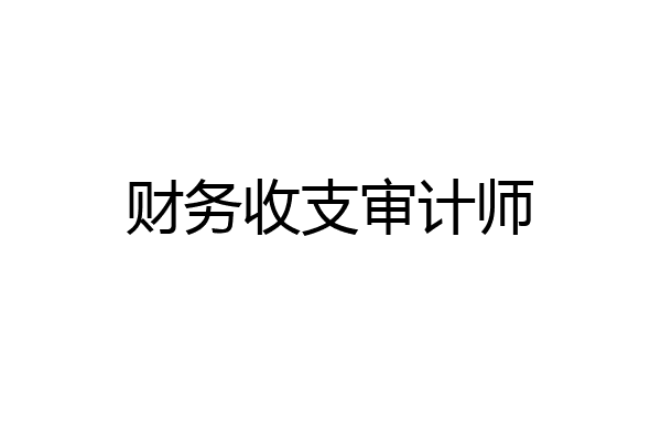 财务收支审计师