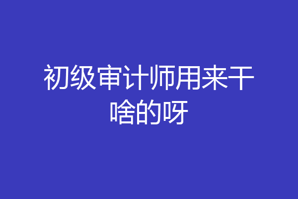 初级审计师用来干啥的呀