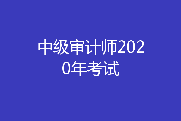 中级审计师2020年考试