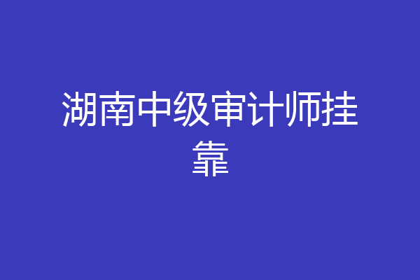 湖南中级审计师挂靠
