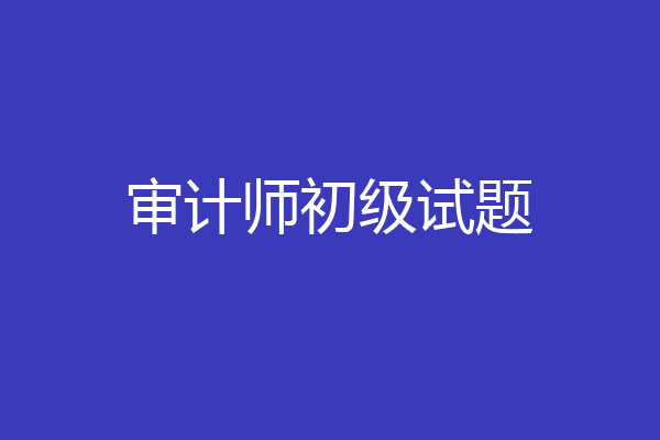 审计师初级试题