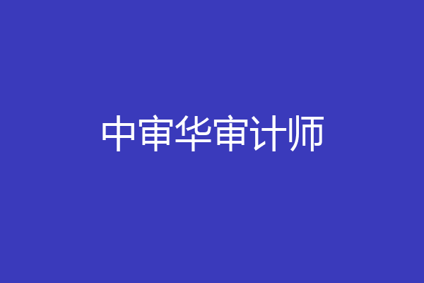 中审华审计师