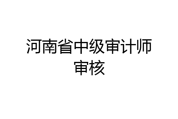 河南省中级审计师审核