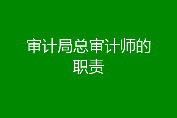 审计局总审计师的职责