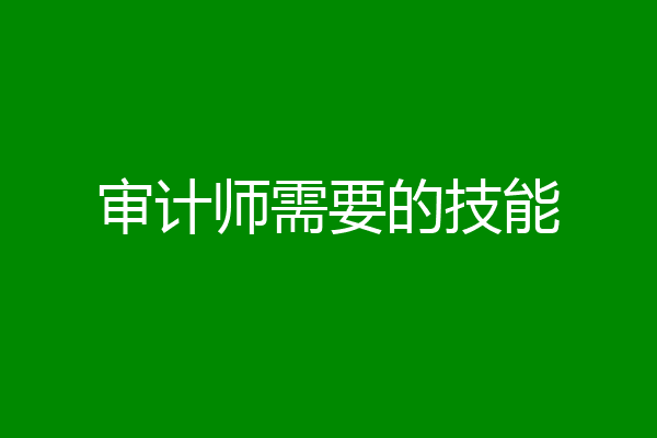 审计师需要的技能
