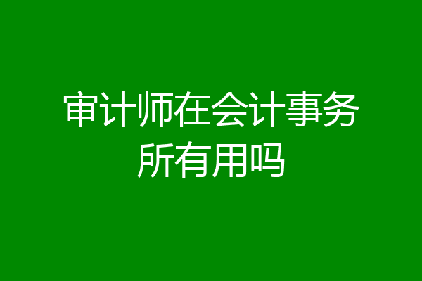 审计师在会计事务所有用吗