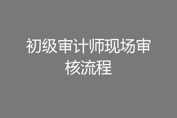 初级审计师现场审核流程