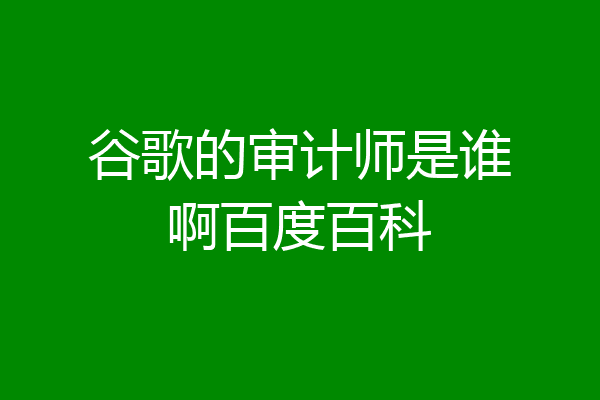 谷歌的审计师是谁啊百度百科