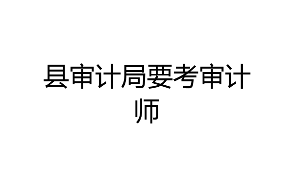 县审计局要考审计师