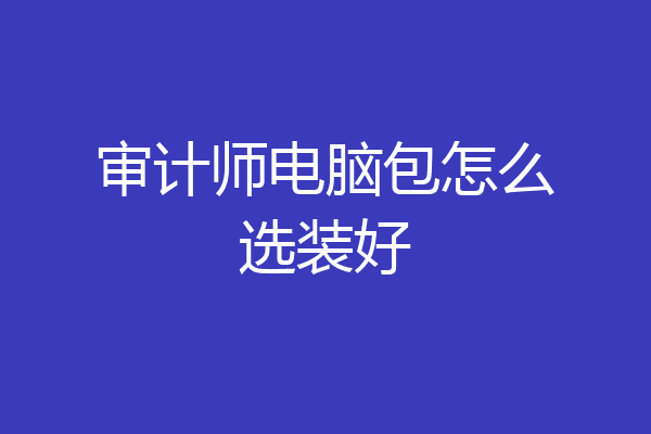 审计师电脑包怎么选装好