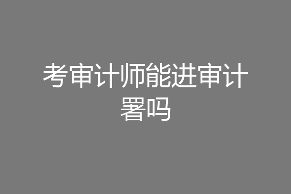 考审计师能进审计署吗