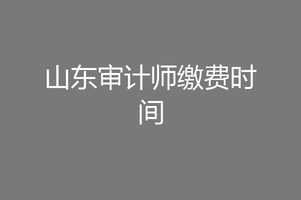 山东审计师缴费时间