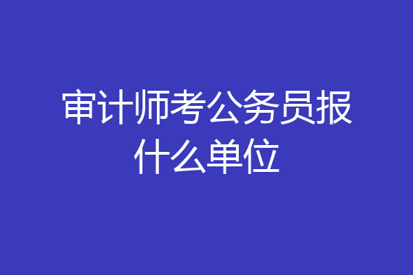 审计师考公务员报什么单位