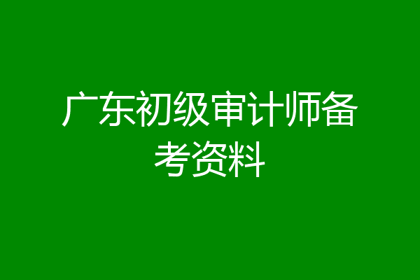 广东初级审计师备考资料