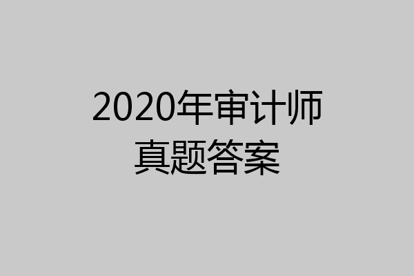 2020年审计师真题答案