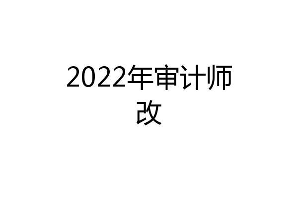 2022年审计师改