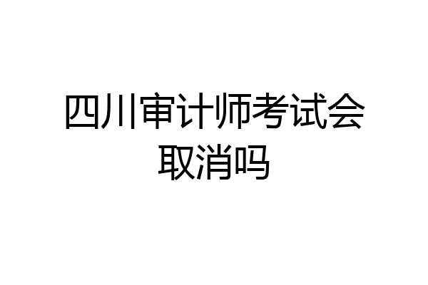 四川审计师考试会取消吗