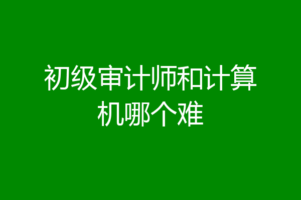 初级审计师和计算机哪个难