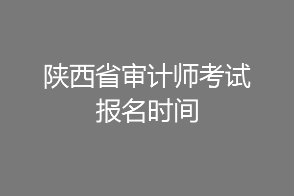 陕西省审计师考试报名时间