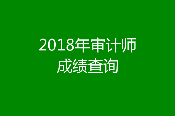 2018年审计师成绩查询