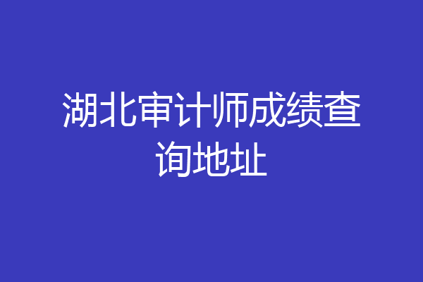 湖北审计师成绩查询地址