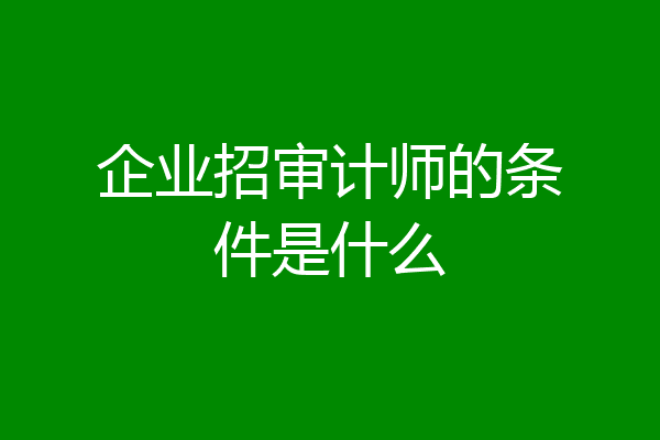 企业招审计师的条件是什么