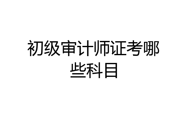初级审计师证考哪些科目
