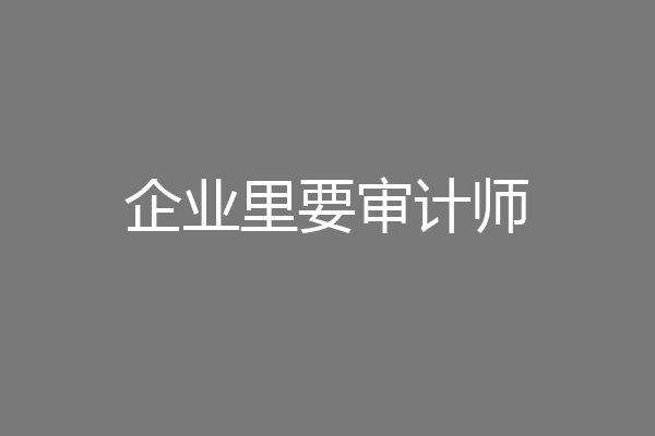 企业里要审计师