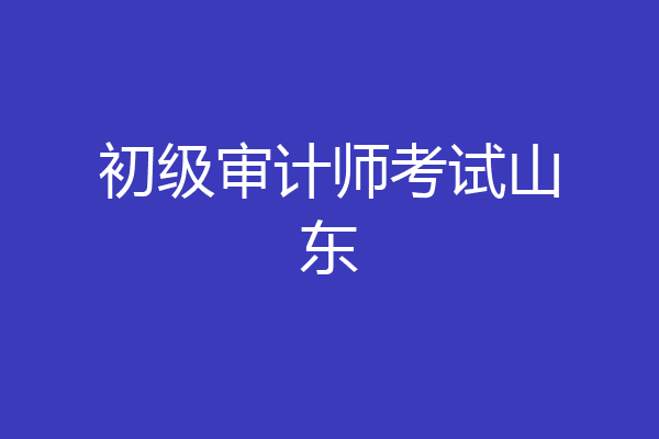 初级审计师考试山东