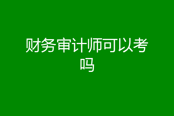 财务审计师可以考吗