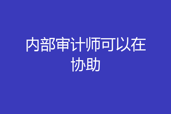 内部审计师可以在协助