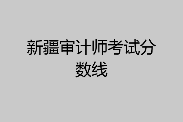 新疆审计师考试分数线