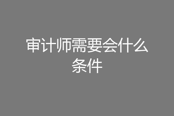 审计师需要会什么条件