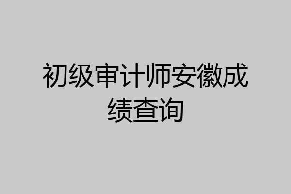 初级审计师安徽成绩查询