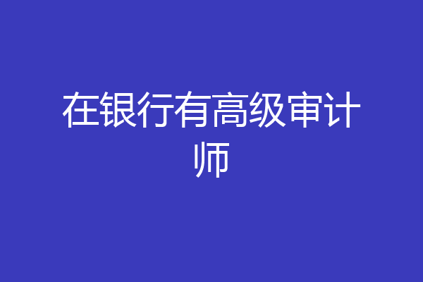 在银行有高级审计师
