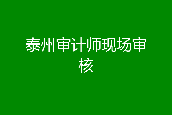 泰州审计师现场审核