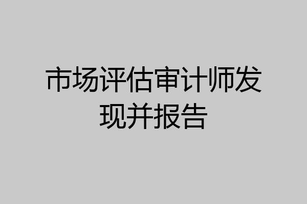 市场评估审计师发现并报告