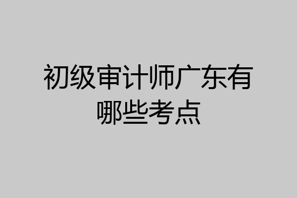 初级审计师广东有哪些考点
