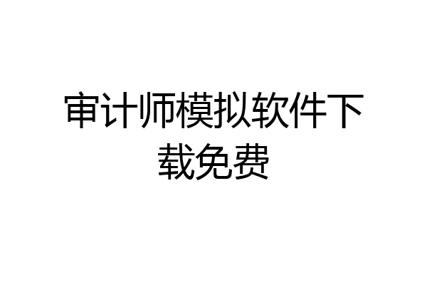 审计师模拟软件下载免费